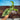 [A347] Syngonium Mojito