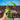 A629 Syngonium Aurea