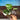 B128 Scindapsus Moonlight Albo Var