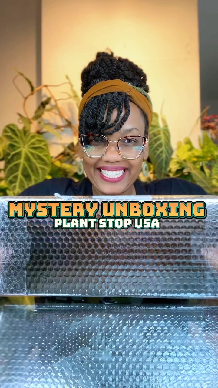 MYSTERY PLANT UNBOXING: My Last Plant Haulof the Year! 🌿 I’m unboxing a beautifully packaged mysterybox sent by Plant Stop USA, a company specializing in rare tropical plants.