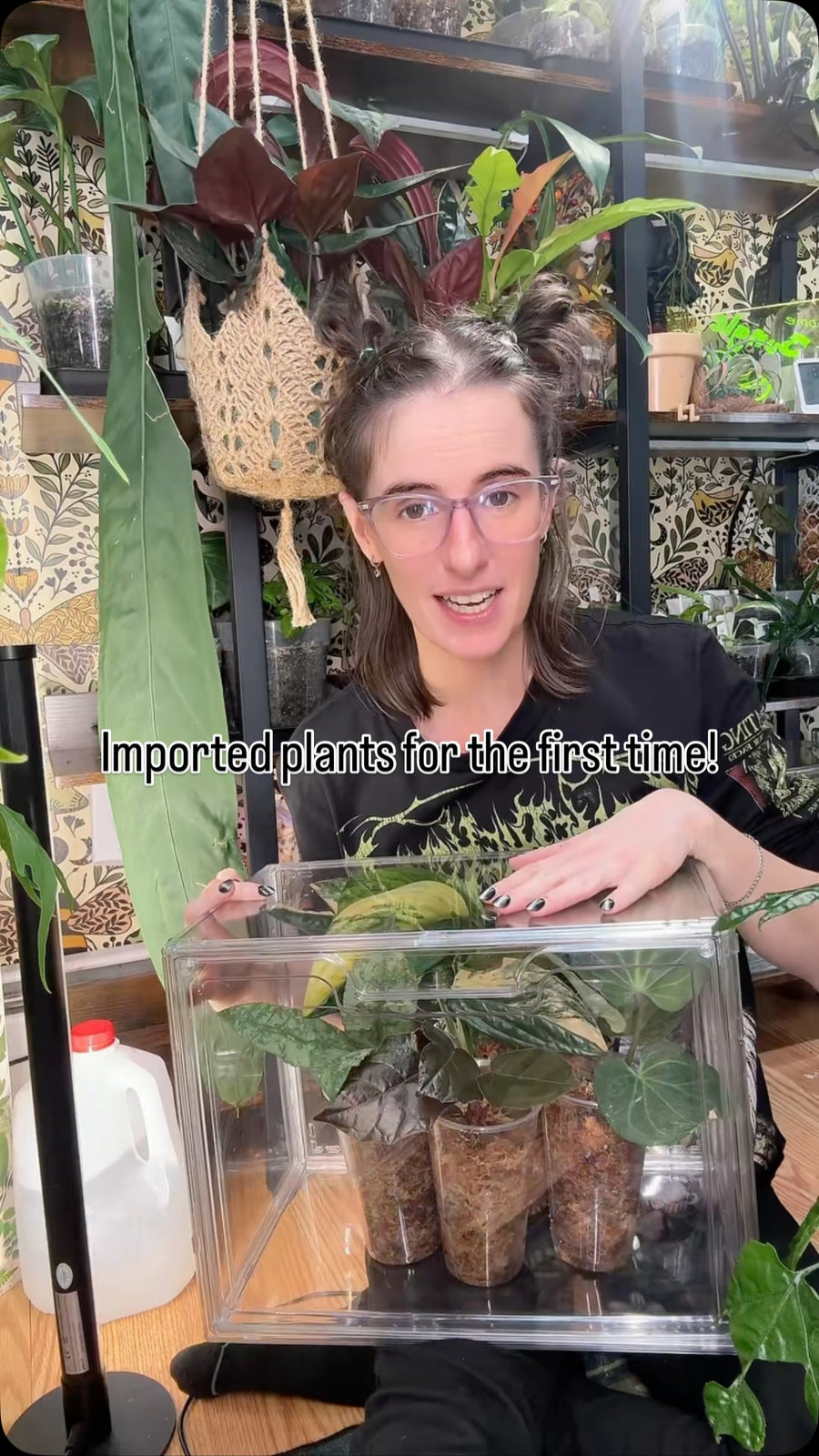Importing plants for the FIRST TIME EVER! Thank you @plantstop.us for making this possible 💚💚 🌿 Shop rare and unique plants at Plantstop.us and use my code