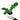 Philodendron Squamiferum