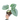 Philodendron Sodiroi - Mature size (Pre Order)