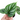 Philodendron Plowmanii