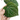 Piper Porphyrophyllum