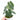 Anthurium Clarinervium