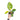 Philodendron Green congo marble variegated