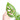 Monstera Esqueleto - Aroidmarket