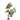 Anthurium chamberlainii