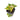 Anthurium Pterodactyl aurea variegated