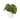 Anthurium ace of spades variegated