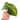 Anthurium ace of spades variegated