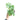 Philodendron Mayoi - Aroidmarket