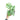 Philodendron Mayoi - Aroidmarket