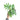 Philodendron Mayoi - Aroidmarket