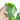 Philodendron White Wizard