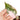 Philodendron pink princess marble