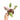Philodendron pink princess marble