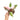 Philodendron pink princess marble