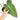 Anthurium king veitchii - Exstra mature size