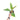 Philodendron Ring of Fire Variegated