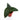 Anthurium Radicans