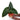 Anthurium Radicans