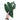 Philodendron Melanochrysum