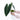 Philodendron Melanochrysum