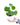 Pilea