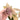 Syngonium Pink
