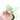 Syngonium podophyllum Moonshine