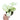 Syngonium podophyllum Moonshine