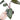 Philodendron Dark Lord