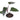 Philodendron Dark Lord