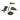 Philodendron Dark Lord