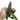 Anthurium Warocqueanum