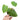 Philodendron Vibrae Catapillum