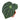Anthurium Magnificum