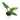 Philodendron Subhastatum Variegated