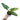 Philodendron Subhastatum Variegated